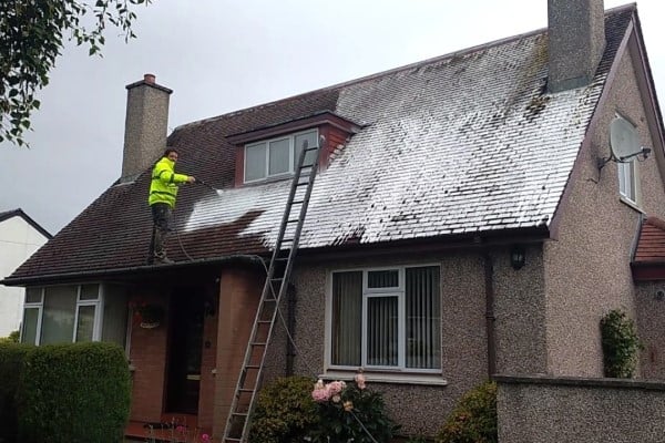 Roof Moss Removal