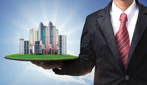 Real Estate Agent