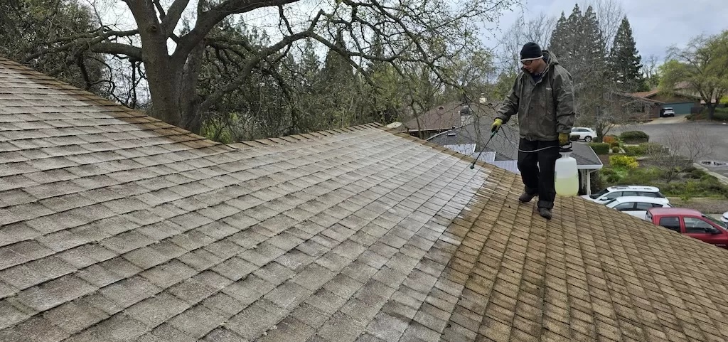 Change Your Roof’s Appearance with Dependable Roof Cleaning Administration